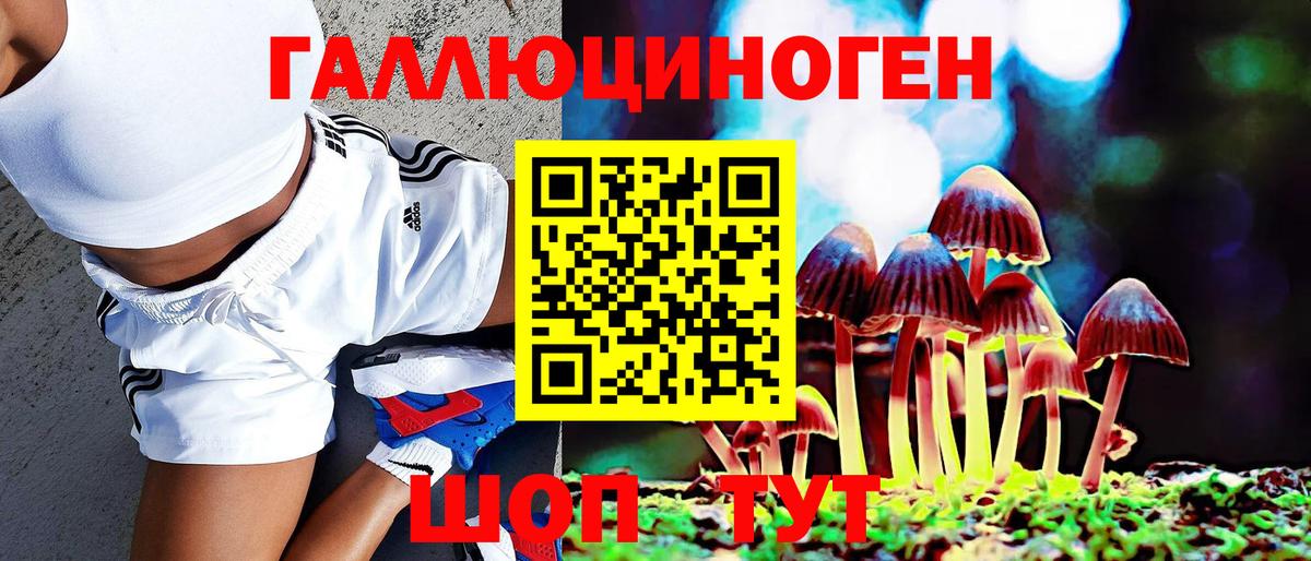 Псилоцибиновые грибы Psilocybine cubensis  Вход с VPN  Большой Камень 