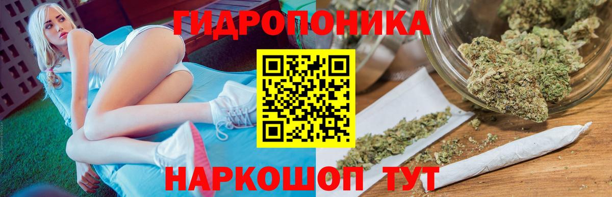 Бошки марихуана план Большой Камень
